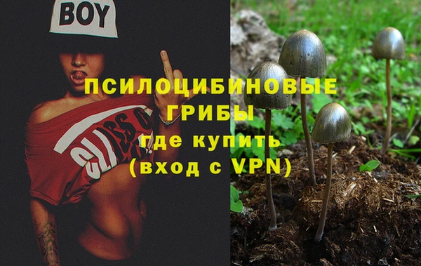 стаф Алексеевка