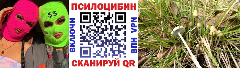 Псилоцибиновые грибы ЛСД  Заинск 
